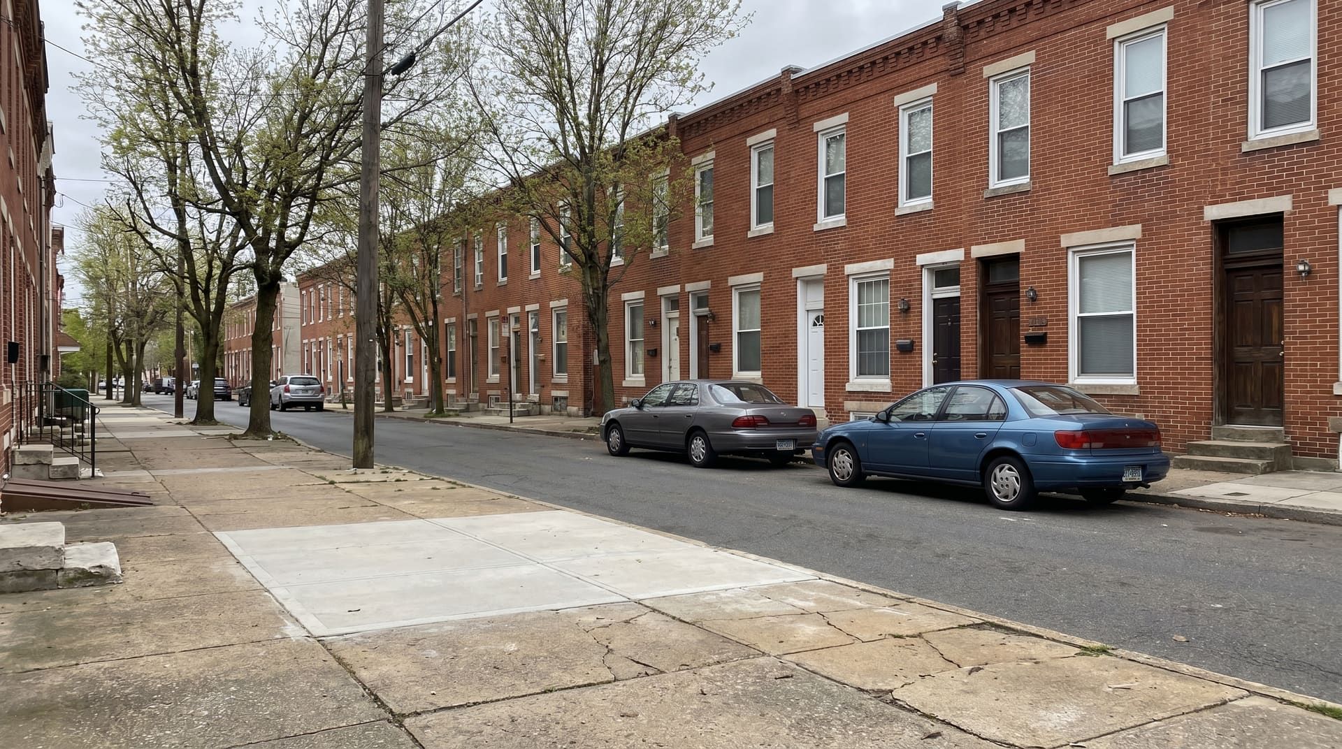 Quiet residential side street in Bridgeport Pennsylvania near the Schuylkill with red-brick rowhouses, a fresh sidewalk panel transition between aged neighbors, mature spring-budding street trees, soft overcast afternoon light